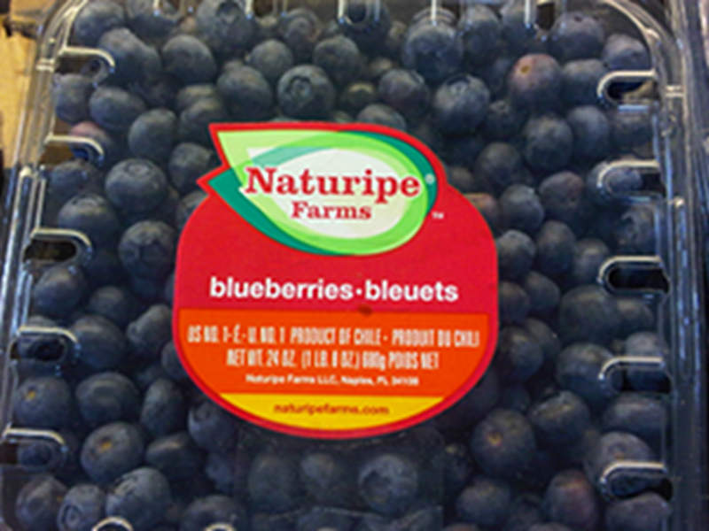 Blueberries from Chile