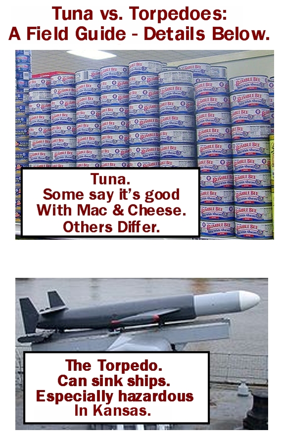 Tuna vs. Torpedoes