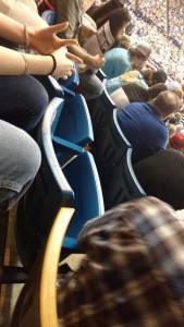 Amber-Trump-empty-blue-seats