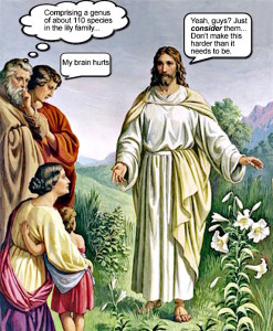 Cartoon-Jesus-consider-the-lilies
