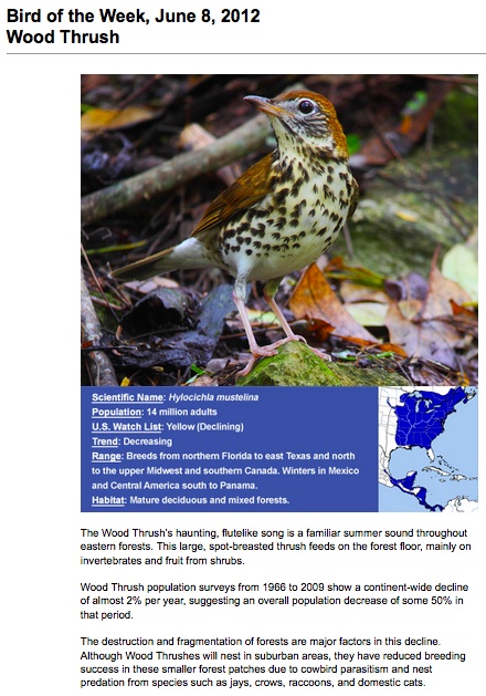 Wood-thrush-decline-2012