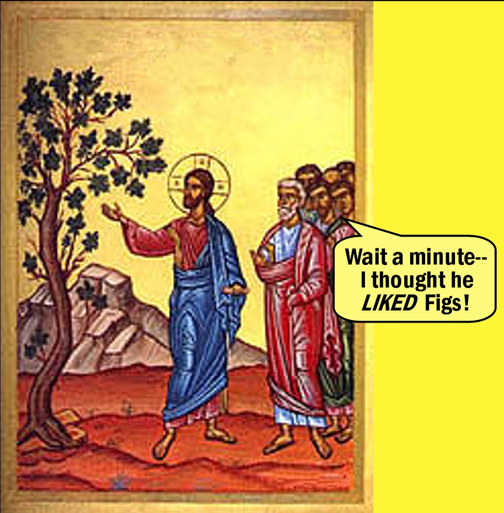Fig Tree Jesus