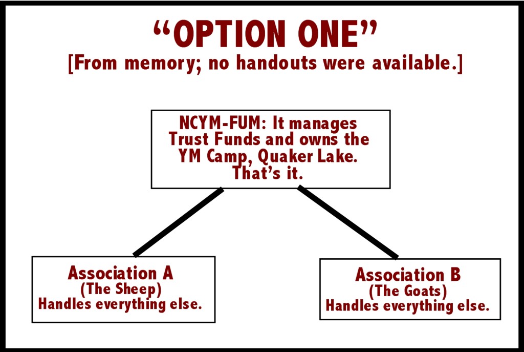NCYM-Option-One