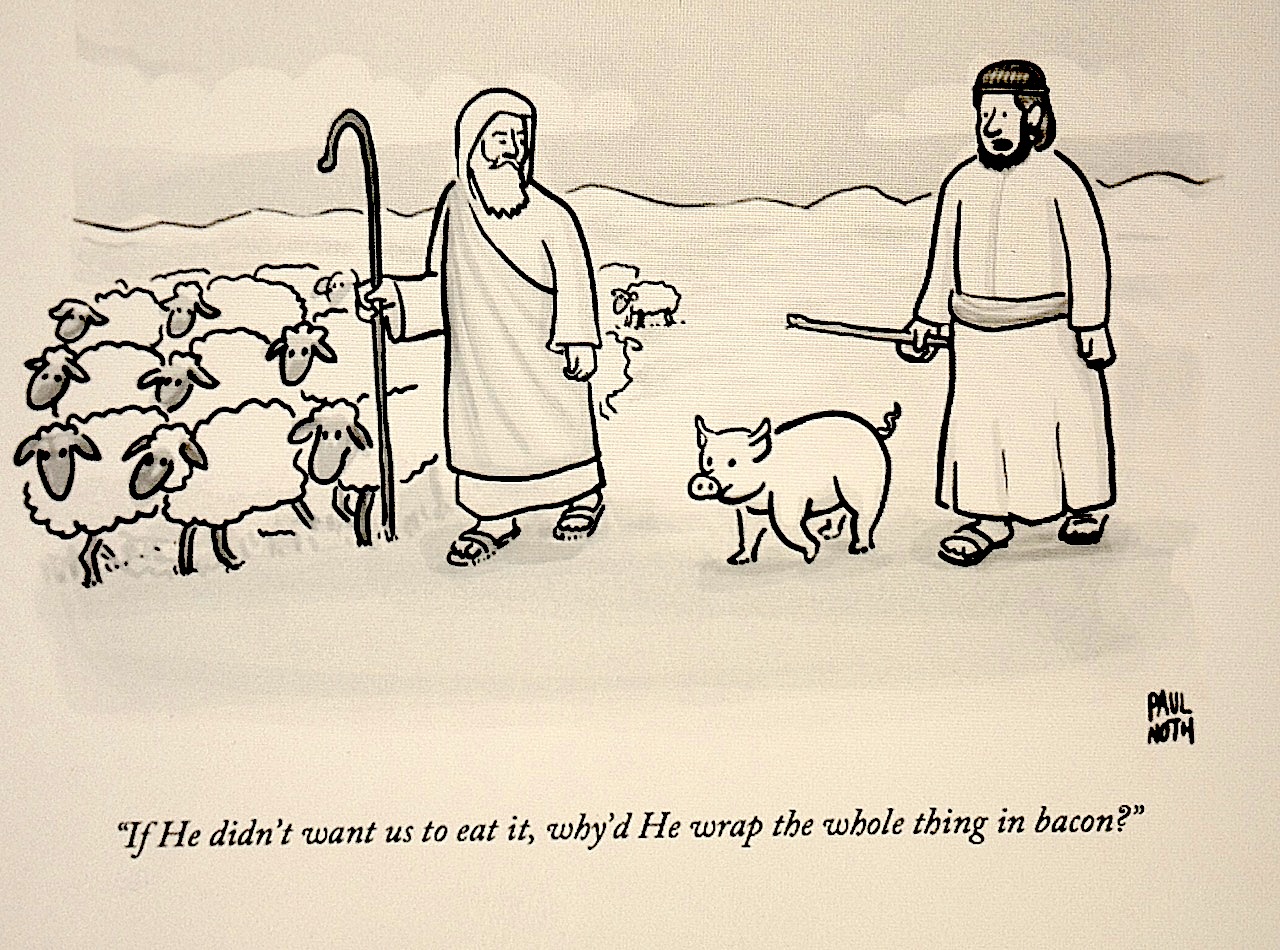 PigsBible A Friendly Letter